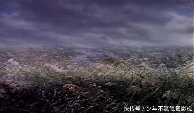 阿庆嫂寻找原型热,引起当年知情人士反感,警示正确对待艺术创作