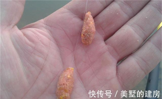 鱼钩|遇上鱼口轻、鱼口滑,调漂用调灵钓钝的方法,中鱼率明显更高