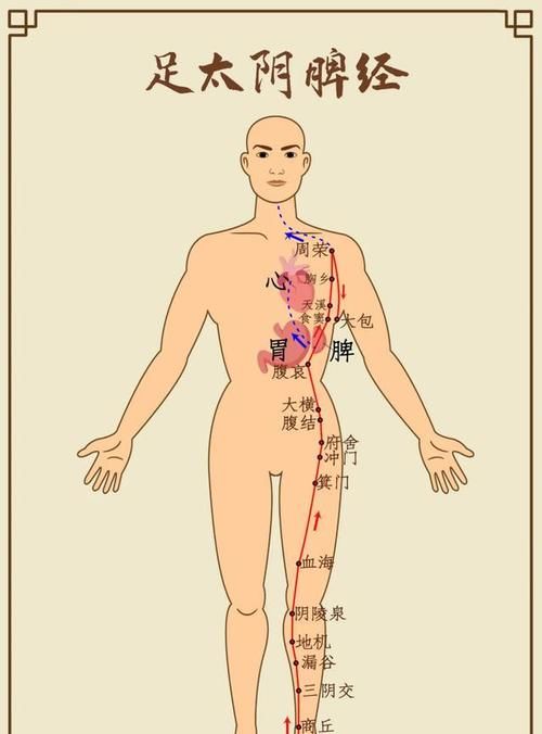 肝经|这个地方通了，大腿、肚子和背竟然都瘦了，脾胃也好了，不信试试