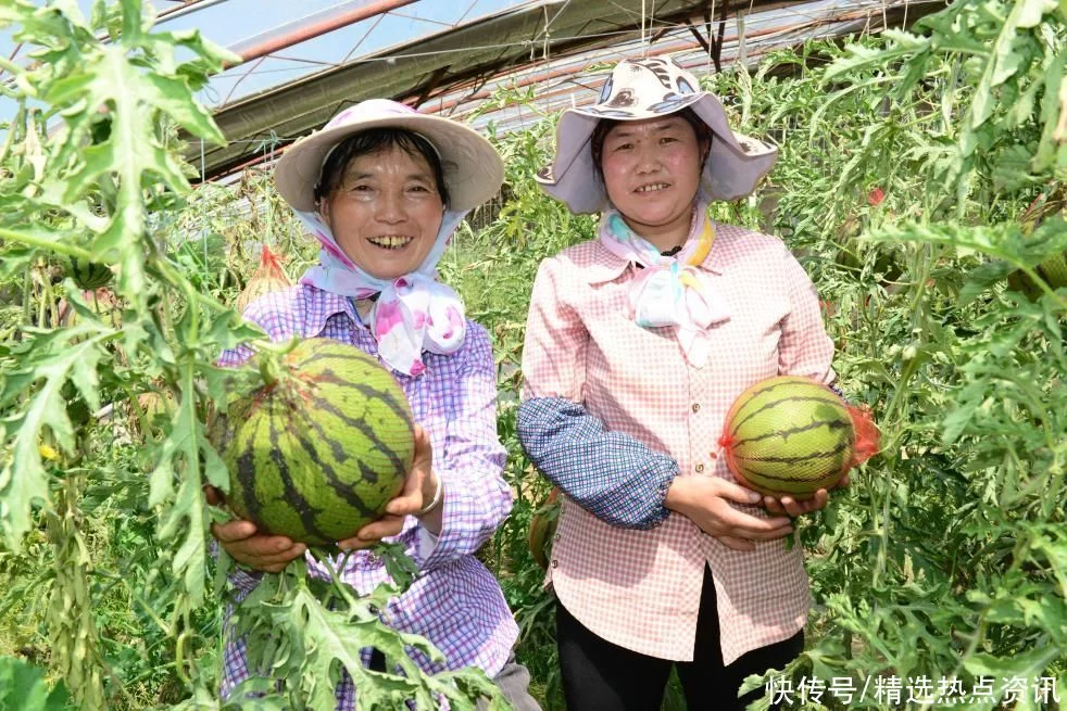 新鲜出炉（只争朝夕）只争朝夕 久久为功 第2张