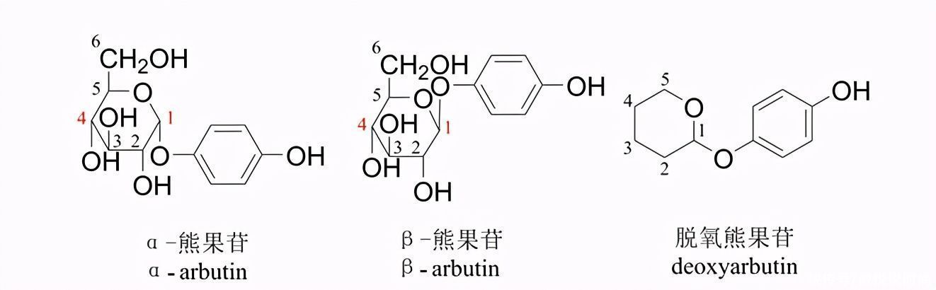 护肤品|熊果苷的护肤品真的可以美白吗