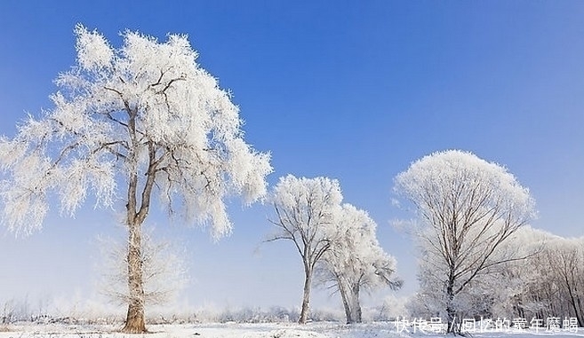 雪，是冬天的使者！