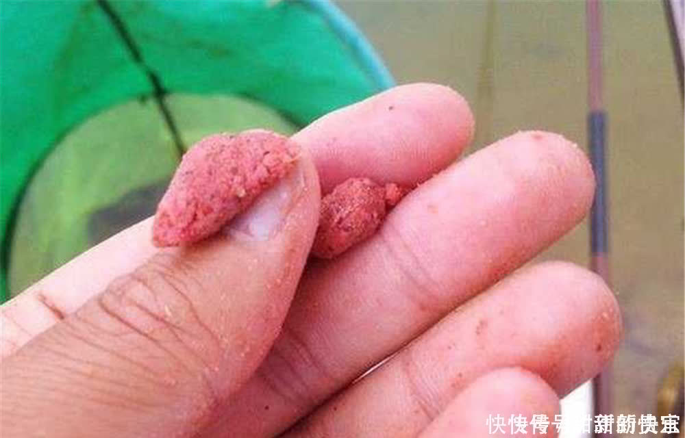 调漂|钓鱼技巧:这4大问题,影响了你的中鱼率,莫忽视!