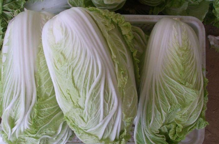 忠告：冬吃白菜好处多，但勿和此物一起食用，尽早了解！