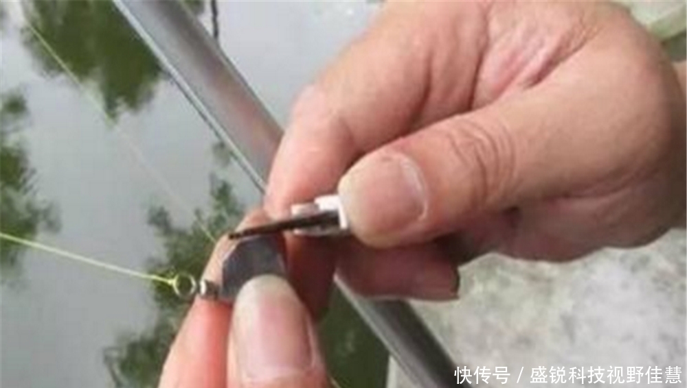 天气|夏季刮风天钓鱼,这样的浮漂更稳定,能够减少走漂,看漂也不辛苦