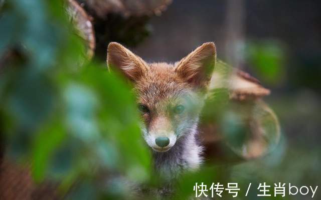 天蝎座|怪脾气，臭性格，内心柔软甜如蜜，但爱上就让人无法自拔的星座