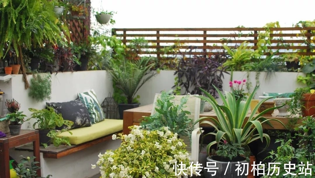 庭院|理想的生活,一定要有一个种满花植的庭院,经过自己精心打造