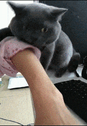 |搞笑动图:妹子,你这是相亲成功了吗?