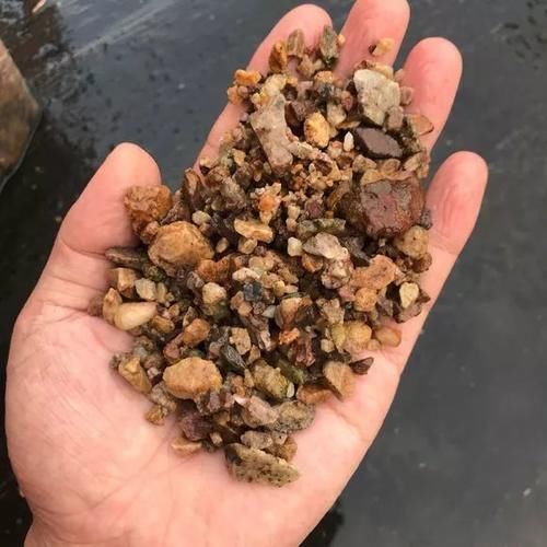 松针土|营养土还在买?3种东西混一混,变成万能花土,养啥旺啥!