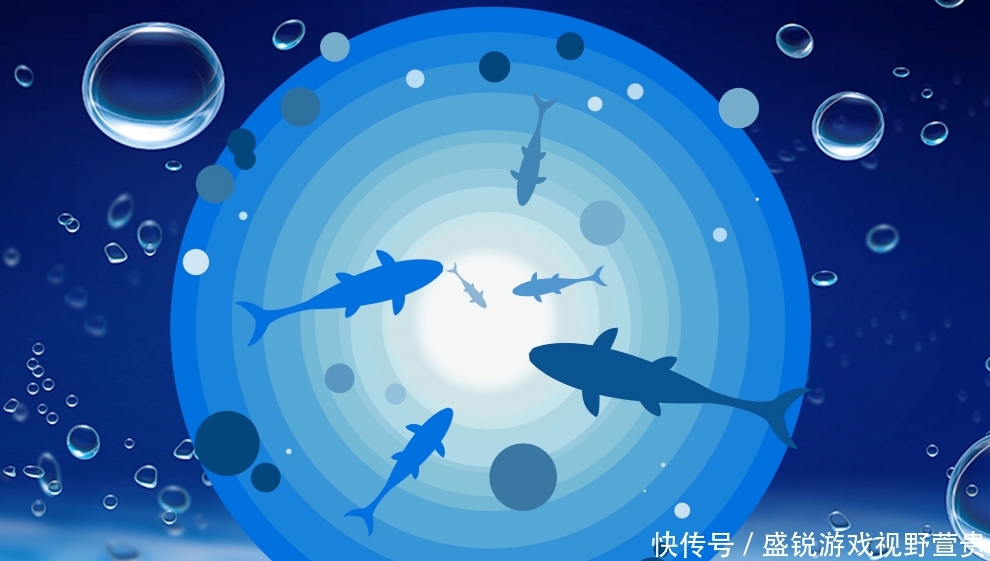 鱼群|钓鲤鱼时怎么才能让窝子里的鱼一直有口?钓鲤鱼的持续诱鱼技巧