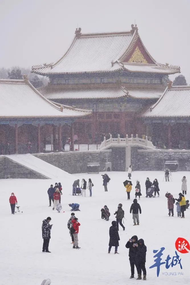 什刹海|去北京，看一场冬奥的雪