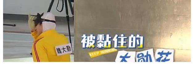 口碑下跌！《奔跑吧》黄河篇“缺斤少两”成遗憾，官方：期待重逢