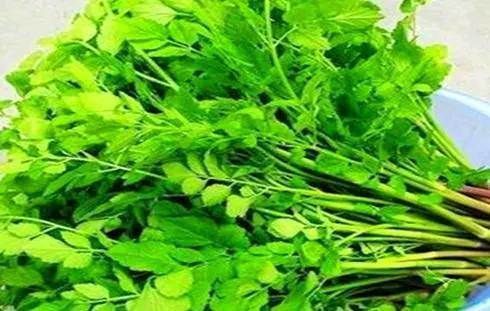 苦瓜|女性到了中年，坚持吃的食物，刮油消脂，润肤养颜，好处多多