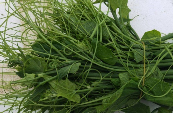 养胃|它们是血糖高人群的“好朋友”,降血糖还能养胃,没吃过的别错过