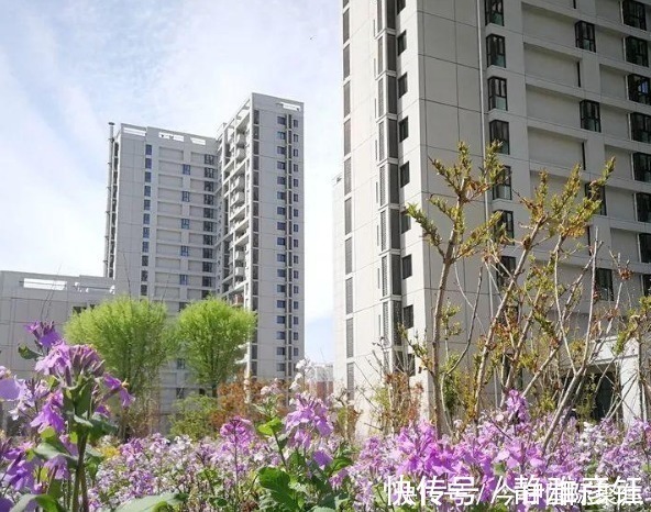 租房子|租房子一定要注意,特别是这4类房子不要租,你被“坑”过吗?