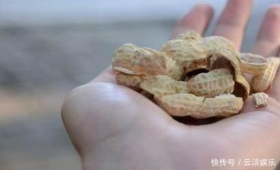 清明|别看它不起眼, 却是天然“降压药”, 经常吃一点, 血压轻松降下来