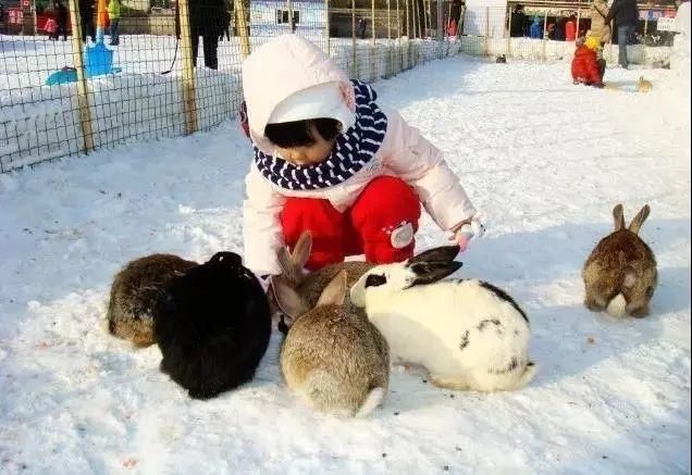 盛大|峡谷水乡冰雪嘉年华盛大开园！开启你的冬日狂欢之旅吧！