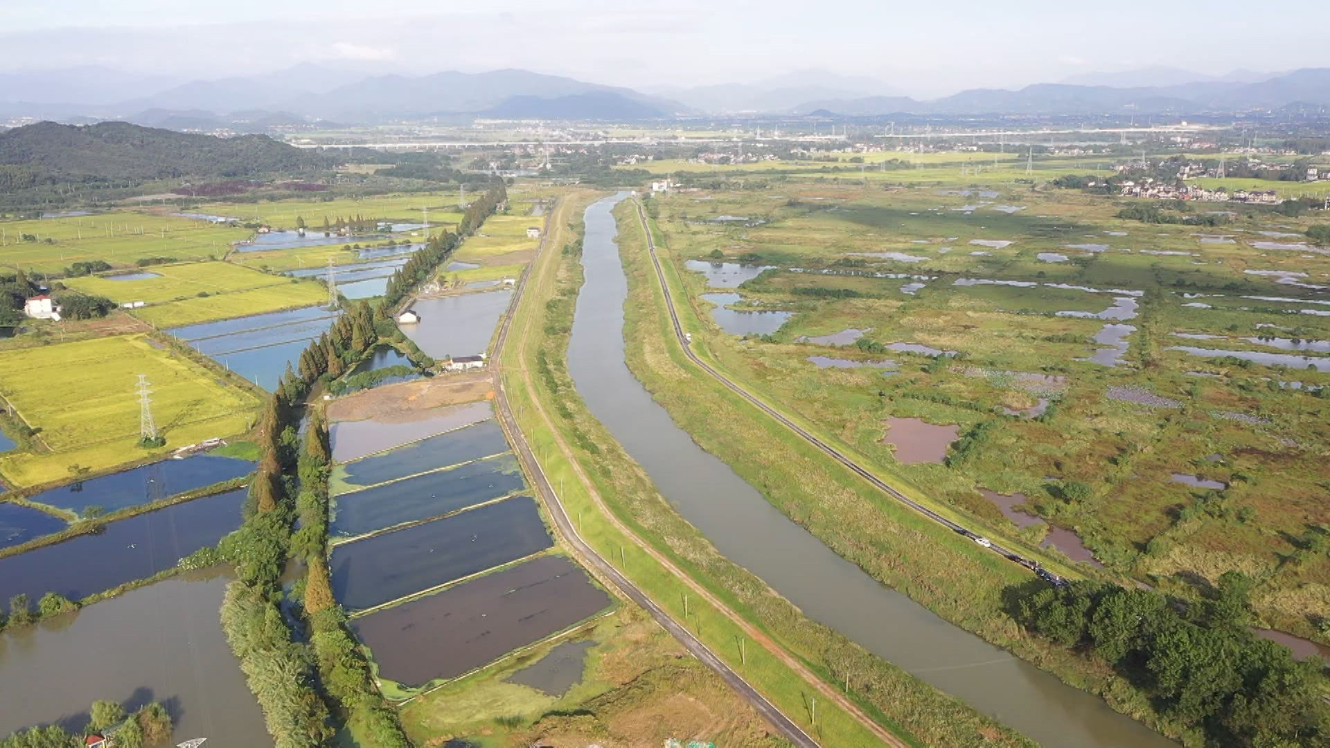 松雀鹰|秋意渐浓 余杭北湖湿地迎来最佳观鸟季