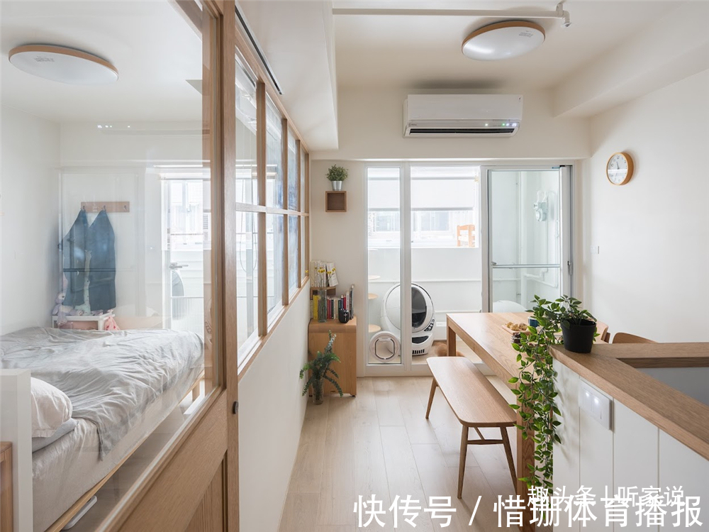 夫妻|90后夫妻的1室1厅婚房:41㎡住下2个人3只猫,入住半年生活太惬意