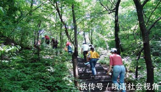 增强免疫力|免疫力是健康“保护伞”!牢记这3点,一点一点增强免疫力