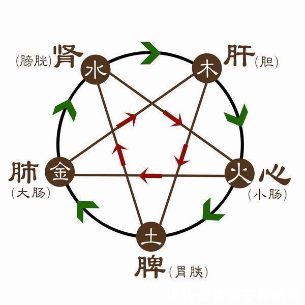 肝寒|心寒、肺寒、脾寒、肝寒、肾寒1个方子，巧祛五脏之寒！