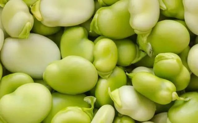 蚕豆|8种蔬菜一定不要再吃了，有毒伤肝，早知道早受益！