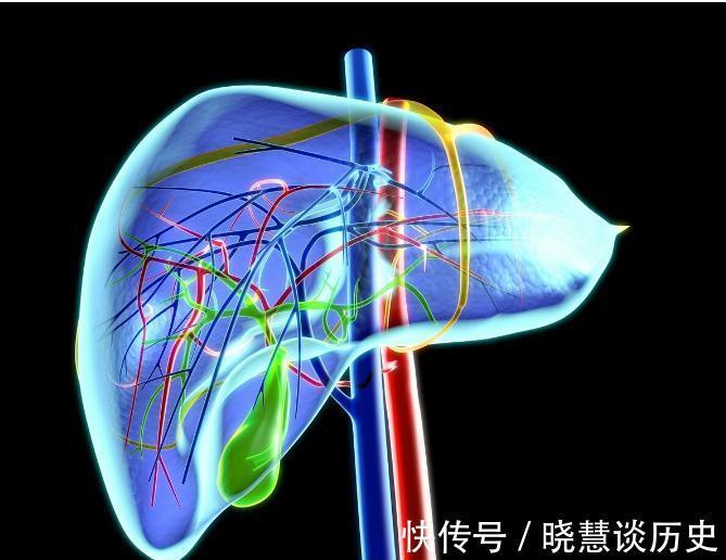 心气虚|五味子,一味可补肝,心,脾、肺,肾的明星中药,你了解吗