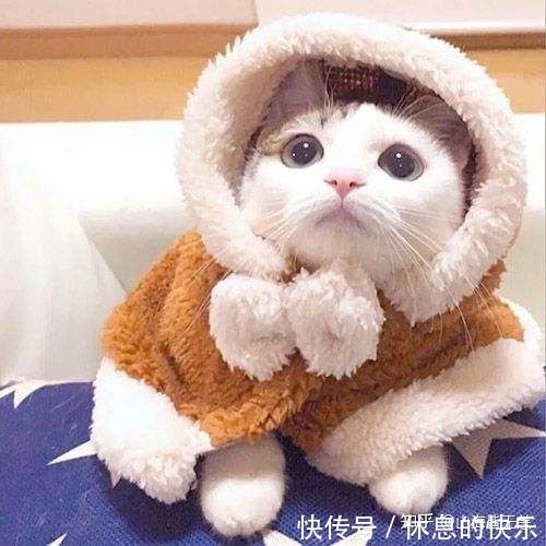 |(搞笑段子)丈夫发年终奖,妻子许诺春节到新马泰