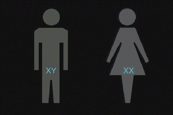 生育|男性年龄超过这个岁数,就别强求生二胎了,这4个影响很难避免