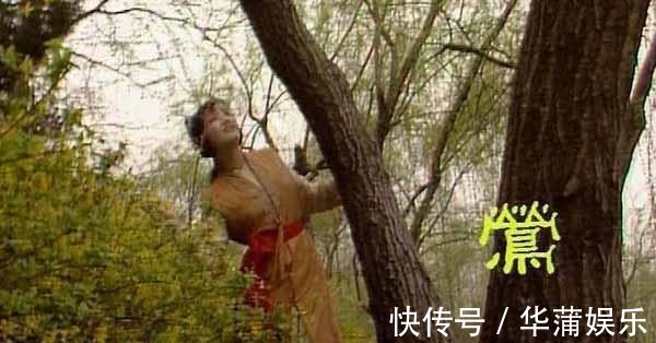 贾环#紫鹃敢管林黛玉,鸳鸯敢教训贾母,为何莺儿见了宝钗就不敢说话?