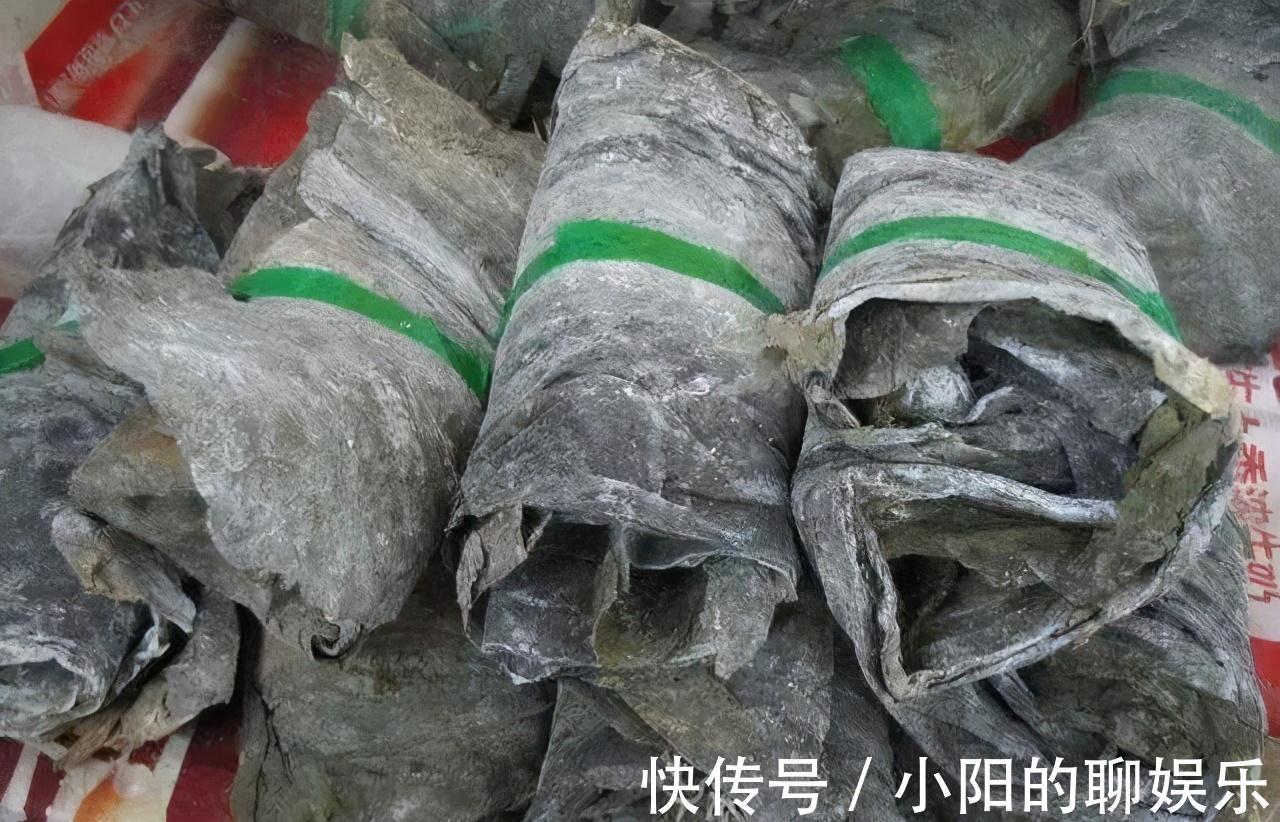 营养价值|海带营养价值丰富,为什么又不能多吃,你有了解过嘛