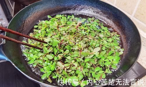 城里人|这菜新鲜的不值钱,晒干变抢手货,30块钱1斤,城里人想吃买不到