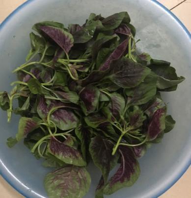 菠菜|比菠菜营养还要高,2块钱就能炒一大盘,初夏吃它最养生!