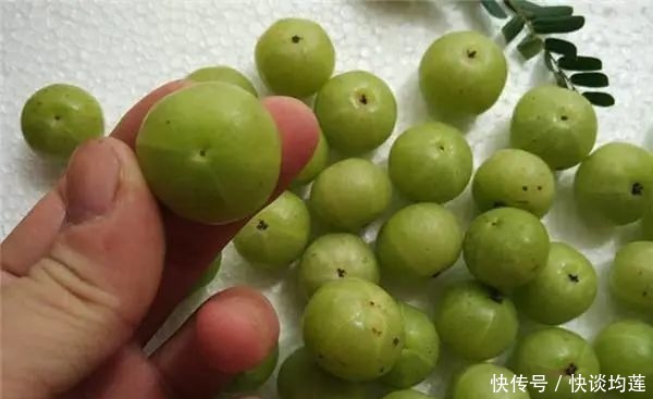 藏在身边的“止咳王”就是它,做法简单,止咳润肺,冬天不咳嗽