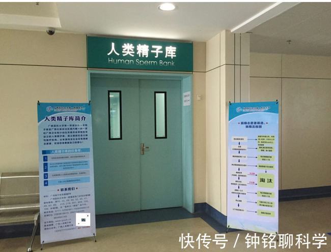 第三方|太硬核了!嫌医院人工授精太贵,英国女子购买针筒自行操作