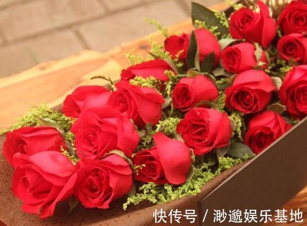 喜欢玫瑰,不如养盆“玫瑰精品”卡罗拉,花开红艳似火,美艳优雅