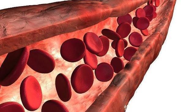 李时珍花椒加一宝,3天排出5斤宿便,缓解口臭,大肚腩也消失了
