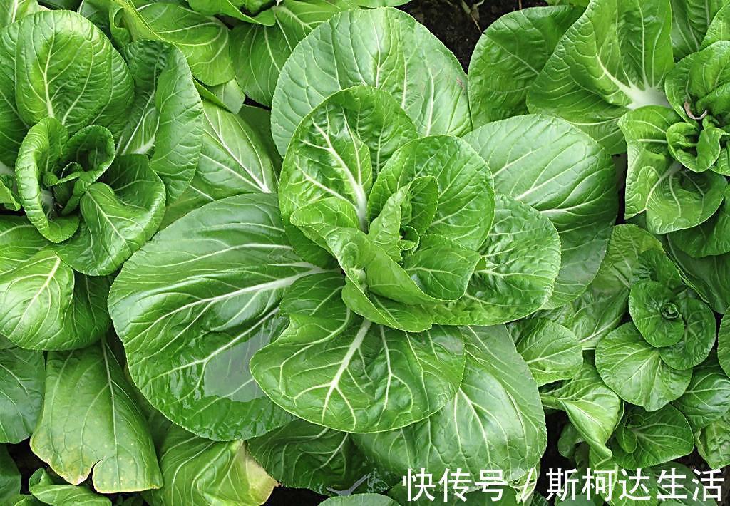 皮肤|女性常吃5种天然食物,子宫干净了,皮肤细腻光滑,告别妇科病