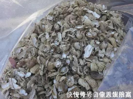 脱盐|这2种“壳”丢了太可惜,埋花土里3年不板结,种什么花都旺!