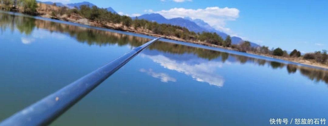 鲤鱼|夏季野钓别老盯着深水！这几个地方也藏大鱼，我替你们试过了