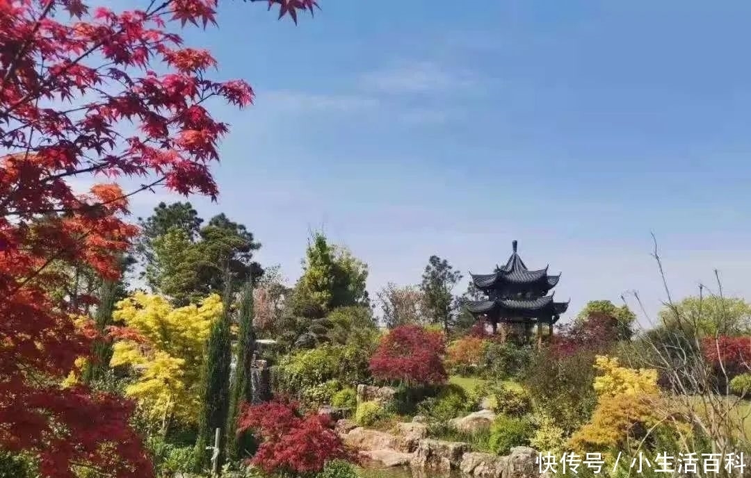 花园|莫负好时光，初冬花园美景正当时！