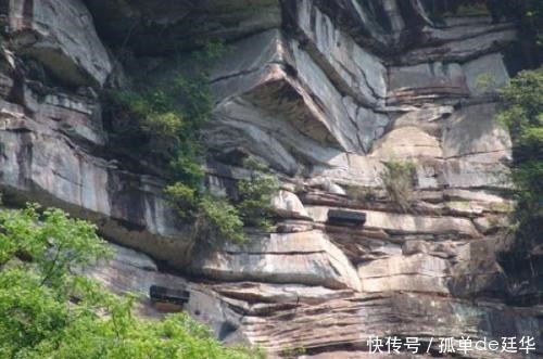 这个谜题难倒专家多年,曾出30万悬赏求答案,如今怎样了