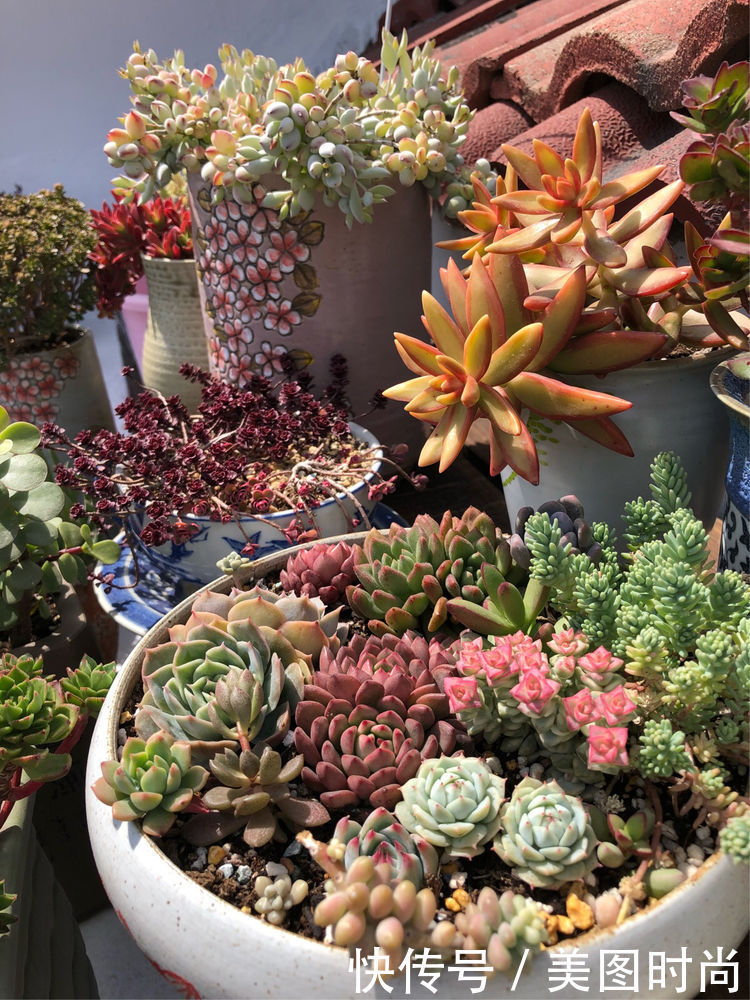 阳台|DIY改造17㎡屋顶花园，忙得不亦乐乎，在喧嚣城市打造一隅静谧