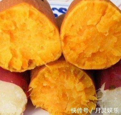 鱼钩|野钓饵料就用它，对大鲤鱼有致命诱惑，抛竿就黑漂上鱼！
