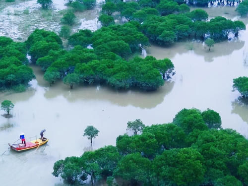 美丽|美丽的霞浦滩涂