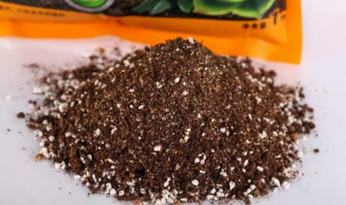 养花土用此2样，想效果好就得抓住这些“处理重点”