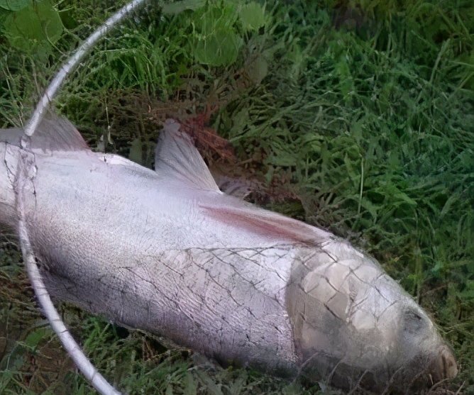 钓鱼之前的准备工作，有很多是你想不到的，快来看看