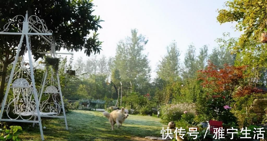 大花园|退休夫妻花4年改造自家老房，建3000㎡大花园，住在人间仙境里