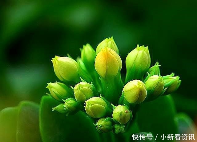 老祖宗|“命自我立,福自我求”记住老祖宗的这几句忠告,福报不请自来