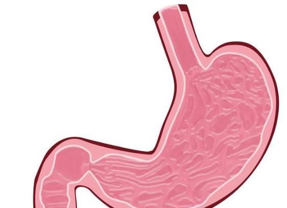 胃黏膜|幽门螺杆菌感染，不吃药能杀灭吗？5个谣言，一一为你澄清